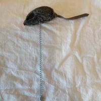 Gioco per gatti con topolino e molla