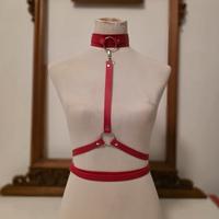 Pettorina harness rosso imbracatura body natale rs