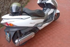 Honda forza 250