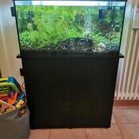 Acquario + mobiletto ed accessori