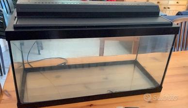 Acquario 60 Lt  + Filtro esterno Askoll Pratiko