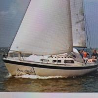 Barca a vela HURLEY 800