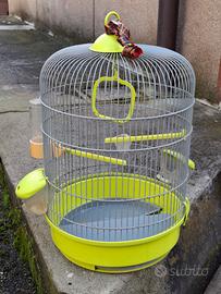 gabbia uccellini