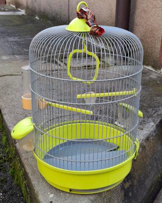 gabbia uccellini