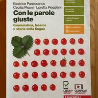 Con le parole giuste