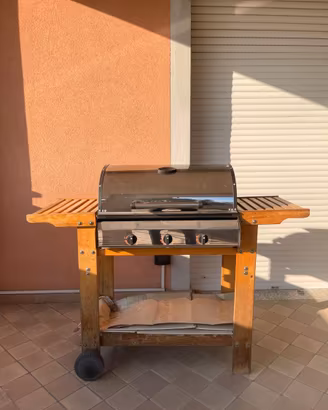 Barbecue Griglia a gas