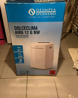 Climatizzatore portatile