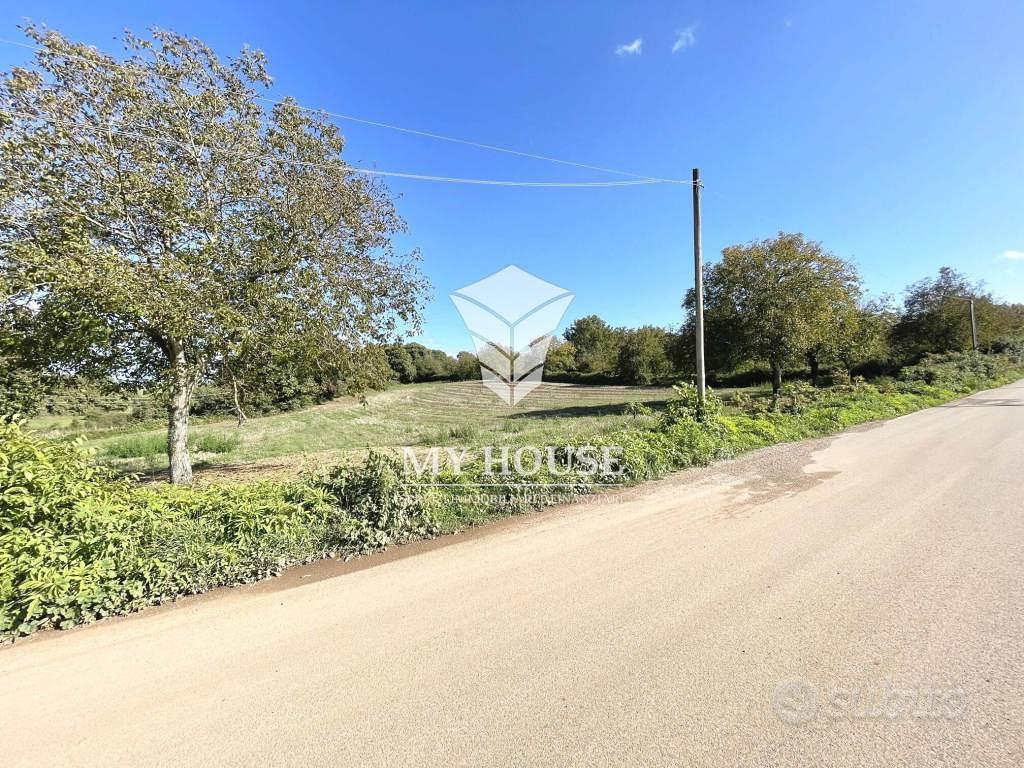 Terreno di 10500 m² a Palestrina - Vista 3
