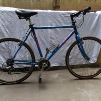Mountain Bike blu