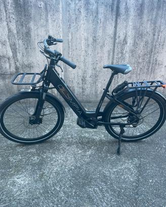 Bicicletta assistita