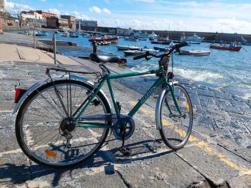 Bici da passeggio  28