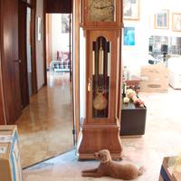 Orologio a Pendolo a Colonna  grandsalon