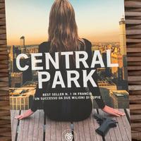 Guillaume Musso, Central Park