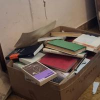 due scatole di libri tanti di brescia