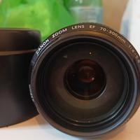 Canon EF 70-300 mm 1:4-5.6 Is usm