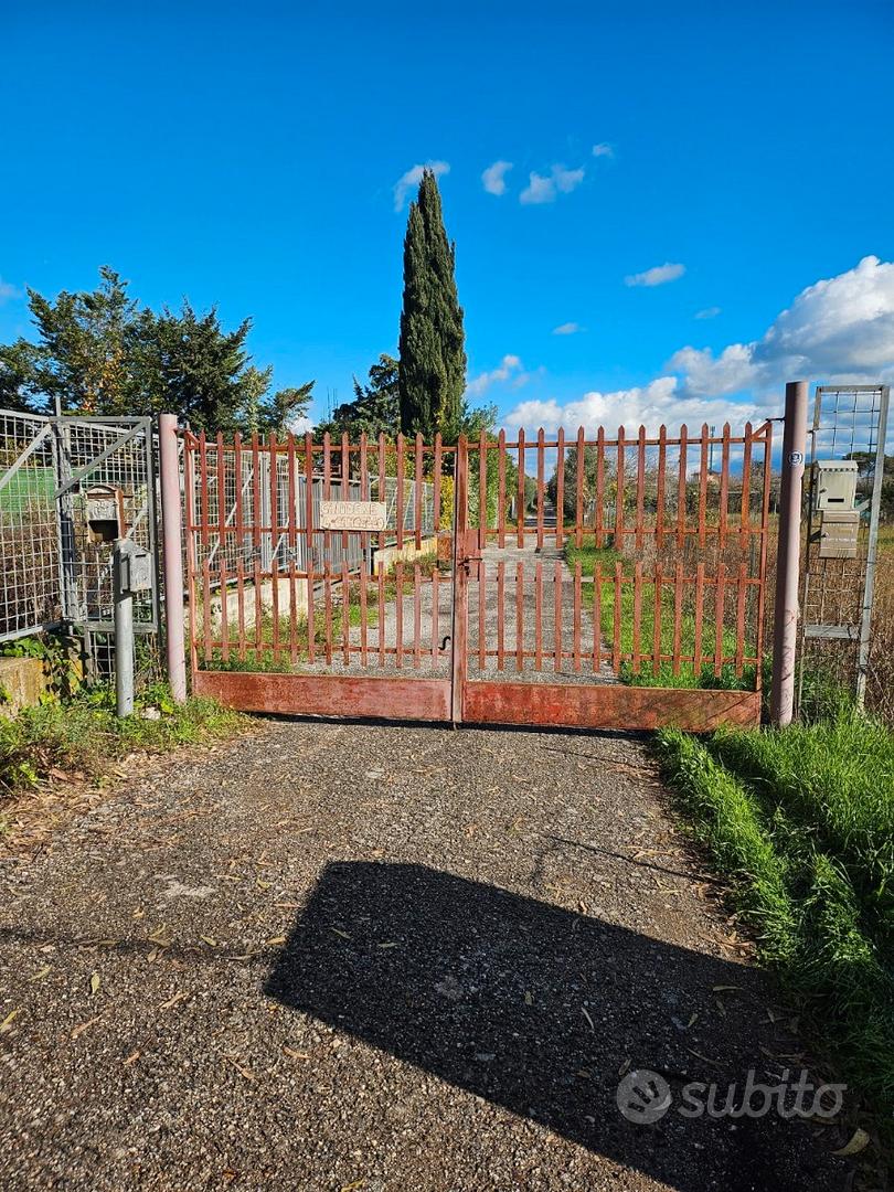 Terreno agricolo - Vista 2