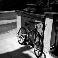 bici+gomme a parte incluse