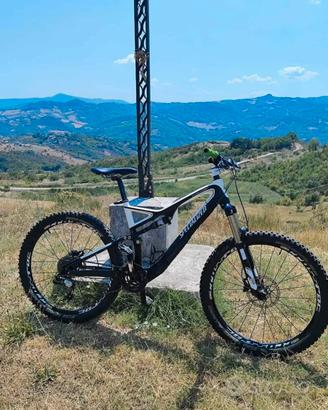 specialized biammortizzata