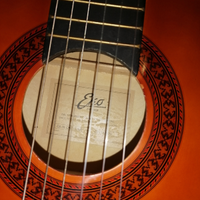 Chitarra acustica EKO