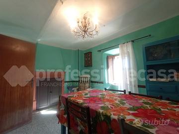 Terratetto Ateleta [Cod. rif 6025VRG]