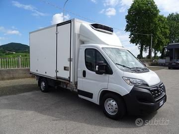 OPEL Movano 35Q Maxi 140hp PL Cella 3.70 -20°