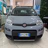 fiat-panda-1-0-firefly-s-s-hybrid-city-life