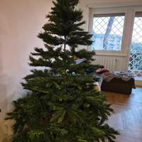 Albero di natale 180 cm