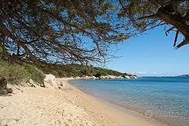 Bilocale palau centro nord sardegna