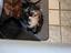 Immagine 5