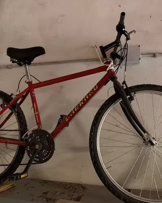 bici CARRARO