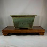 Vaso bonsai Isabella