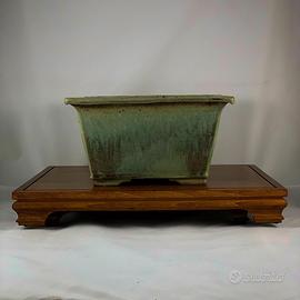 Vaso bonsai Isabella