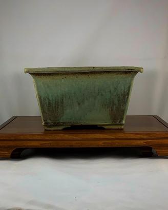 Vaso bonsai Isabella
