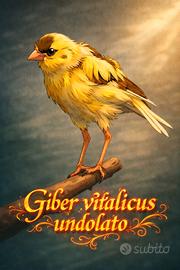 Gibber italicus ondulato