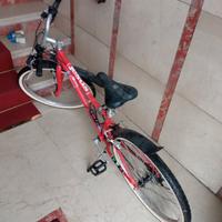 bicicletta 
