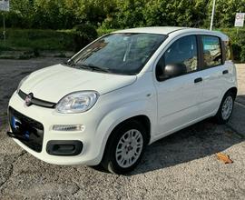 Fiat panda 1.2 gpl unico proprietario