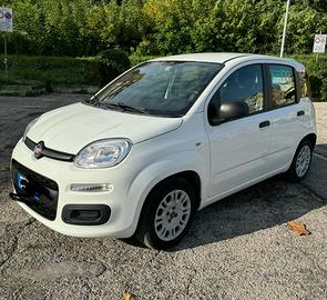 Fiat panda 1.2 gpl unico proprietario