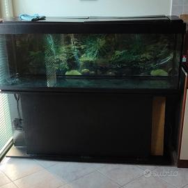 acquario 300 litri