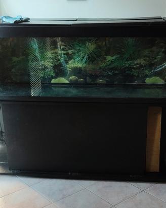 acquario 300 litri