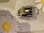 Immagine 1