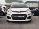 fiat-panda-1-2-pop