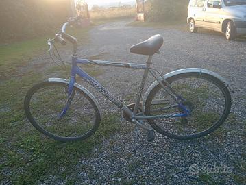 Bicicletta da città Alpina Cursor