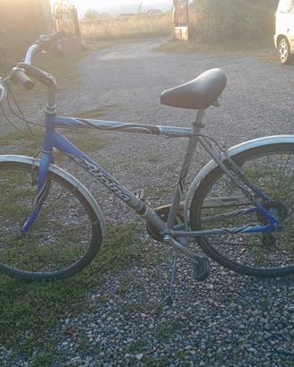 Bicicletta da città Alpina Cursor