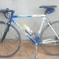 bici da corsa Colnago