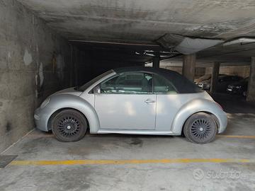 new beetle cabrio