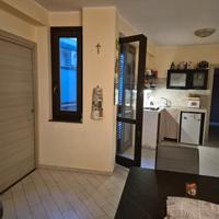 C.e.r.c.a.s.i c.o.i.n.q.u.i.l.i.n.a