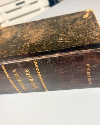 Volume Raccoglitore D'Epoca "Biblioteca 1878-1886)