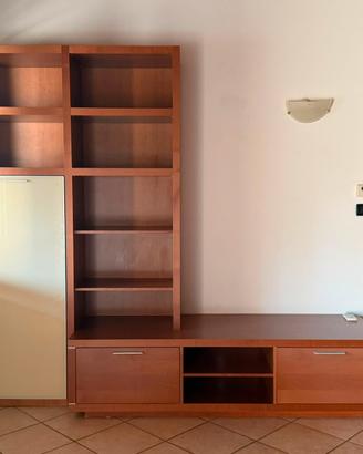 Mobile TV-libreria