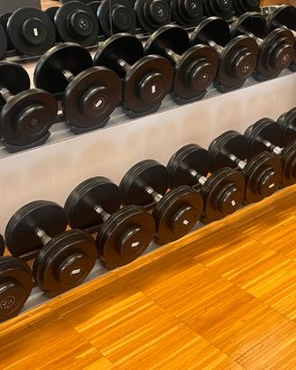 RASTRELLIERE MANUBRI SET COMPLETO