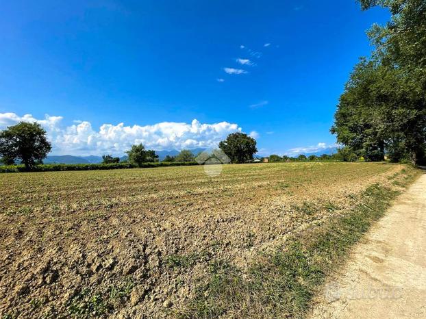 TER. AGRICOLO A MANERBA DEL GARDA